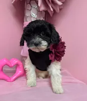 processed/82b194ea-f9a5-4670-b8d4-3111cb25e38c/listing/eabe1cee-4f64-4d52-915d-0f77158dab48/e5ec39f2-86e3-46ee-b2ee-03b1f7e8cf66