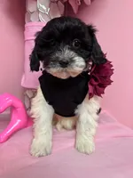 processed/82b194ea-f9a5-4670-b8d4-3111cb25e38c/listing/eabe1cee-4f64-4d52-915d-0f77158dab48/ed6372d7-44a0-4af9-ba6d-039f14d26c56