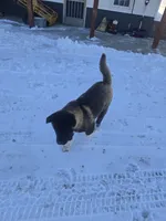 processed/82b9f627-a276-4def-bce9-1a764a630de3/listing/304123c4-7655-420b-9c43-e1be64e13c78/072ce2ae-a6cb-4491-ad3a-12f63395524a