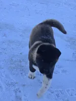 processed/82b9f627-a276-4def-bce9-1a764a630de3/listing/304123c4-7655-420b-9c43-e1be64e13c78/0e4eec4a-d54f-41b6-a882-6ea742765276