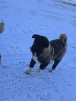 processed/82b9f627-a276-4def-bce9-1a764a630de3/listing/304123c4-7655-420b-9c43-e1be64e13c78/539b10b3-fb91-4a15-a3fc-74a7344d567e