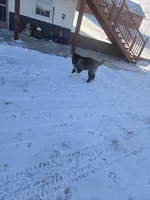 processed/82b9f627-a276-4def-bce9-1a764a630de3/listing/304123c4-7655-420b-9c43-e1be64e13c78/8cb2780c-f30d-4849-8572-37449376435c