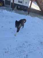 processed/82b9f627-a276-4def-bce9-1a764a630de3/listing/304123c4-7655-420b-9c43-e1be64e13c78/bf2f14ab-5a62-4bb4-bde4-a4e812a1cf89