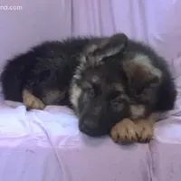 processed/82bd1b80-1798-4df9-9a84-5f9c56d80311/facility/92c8a6b3-d9e9-4591-9859-819bde566a90