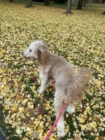 processed/82c0af90-49dd-4bbc-8c67-49e921b97735/facility/ecf66b94-d2aa-4705-87e9-ca382a198438