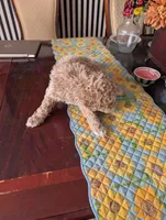 processed/82c0af90-49dd-4bbc-8c67-49e921b97735/listing/17369f5d-801c-4d08-9ab7-32951033463c/059677db-2201-4dff-9257-7f7c63f7ccd4