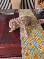 processed/82c0af90-49dd-4bbc-8c67-49e921b97735/listing/17369f5d-801c-4d08-9ab7-32951033463c/3262540f-6123-4853-b87e-d637b6c9a696