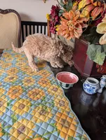 processed/82c0af90-49dd-4bbc-8c67-49e921b97735/listing/17369f5d-801c-4d08-9ab7-32951033463c/c5beeb38-1bb5-4f11-bffa-e2d23efe7c51