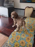 processed/82c0af90-49dd-4bbc-8c67-49e921b97735/listing/7d5f44f8-3e93-4777-8cea-6a87cec20a0b/411b1d54-5667-4298-b3ff-7afeca257eba