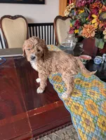 processed/82c0af90-49dd-4bbc-8c67-49e921b97735/listing/7d5f44f8-3e93-4777-8cea-6a87cec20a0b/4f5cd023-de73-4572-8bb6-e58e311ebf17