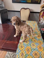 processed/82c0af90-49dd-4bbc-8c67-49e921b97735/listing/7d5f44f8-3e93-4777-8cea-6a87cec20a0b/904dd9c1-3ee7-4803-a1d3-b049c22bcae0