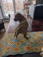 processed/82c0af90-49dd-4bbc-8c67-49e921b97735/listing/7d5f44f8-3e93-4777-8cea-6a87cec20a0b/ccf0c112-9475-4c5a-9137-ac29502392a9