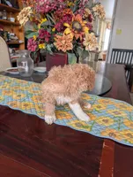 processed/82c0af90-49dd-4bbc-8c67-49e921b97735/listing/9593e2d9-b3c9-4eff-ae7a-e2591a8d8d8a/4d053c4f-b85f-4ba9-b234-c1e3db0623a2