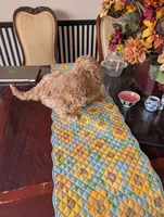 processed/82c0af90-49dd-4bbc-8c67-49e921b97735/listing/9593e2d9-b3c9-4eff-ae7a-e2591a8d8d8a/a2b92e6c-5567-4f2a-80f2-d02d9d97afd5