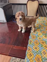 processed/82c0af90-49dd-4bbc-8c67-49e921b97735/listing/9593e2d9-b3c9-4eff-ae7a-e2591a8d8d8a/ace8daba-8f4e-4347-9515-e180a09be9af