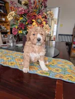 processed/82c0af90-49dd-4bbc-8c67-49e921b97735/listing/9593e2d9-b3c9-4eff-ae7a-e2591a8d8d8a/bfeface2-7eb9-4503-a5fc-b3b8a74404c6