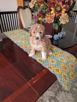 processed/82c0af90-49dd-4bbc-8c67-49e921b97735/listing/9593e2d9-b3c9-4eff-ae7a-e2591a8d8d8a/c52c04d2-0784-46b2-88ae-a3173963c166