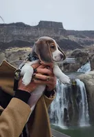 processed/82c377f4-6e46-4fc7-8e65-17130737ee52/facility/72c4bec5-c875-4198-a09a-ae6389abd71f