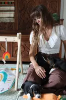 Casper, a male Beagle for sale in Susanville, CA – Photo 5 of 10