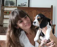 Casper, a male Beagle for sale in Susanville, CA – Photo 6 of 10