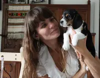 Cider, a male Beagle for sale in Susanville, CA – Photo 5 of 10