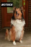 processed/82c4d629-af50-4b5a-b90d-6bfd41ad013b/facility/97dd831a-40ae-499a-97ed-f15cba549049