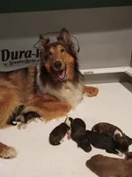 processed/82c4d629-af50-4b5a-b90d-6bfd41ad013b/facility/da6bbadb-26b1-474f-bbad-d0b9b47ca5a0