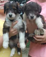 processed/82c4d629-af50-4b5a-b90d-6bfd41ad013b/facility/df2b91bf-3233-41fb-bfaf-f17cec56a290