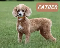 processed/82c4d629-af50-4b5a-b90d-6bfd41ad013b/facility/f1cef88d-0eea-408d-886a-372545297e37