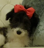 processed/82c4d629-af50-4b5a-b90d-6bfd41ad013b/listing/67d89d1a-7ca4-4732-99ae-b865d3d41336/e38cef8f-ea7f-4fb0-8a29-a3b8d8fcb421