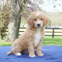 processed/82cde793-aa94-4d74-95dd-61b79ec26d34/facility/3ef83cdc-dd6d-4df6-ae2f-928f9e492e68