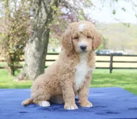 processed/82cde793-aa94-4d74-95dd-61b79ec26d34/facility/3ef83cdc-dd6d-4df6-ae2f-928f9e492e68