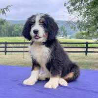 processed/82cde793-aa94-4d74-95dd-61b79ec26d34/facility/61e4e4f7-d86e-49d8-b370-903b9420ee54