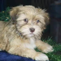 processed/82cde793-aa94-4d74-95dd-61b79ec26d34/facility/ad86cfb2-4cbe-449a-b651-008c23e65831