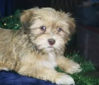 processed/82cde793-aa94-4d74-95dd-61b79ec26d34/facility/ad86cfb2-4cbe-449a-b651-008c23e65831