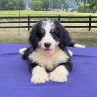 processed/82cde793-aa94-4d74-95dd-61b79ec26d34/facility/b2beebf6-9561-4f53-81ac-85ac1f516f08