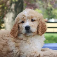 processed/82cde793-aa94-4d74-95dd-61b79ec26d34/facility/ec23b8fc-ae67-4891-bf0d-a49196a3ad5d