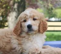 processed/82cde793-aa94-4d74-95dd-61b79ec26d34/facility/ec23b8fc-ae67-4891-bf0d-a49196a3ad5d