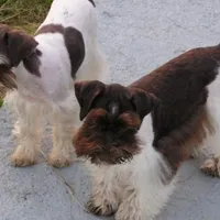 processed/82ced33f-3ec1-4704-9b67-b3b608f1d05b/facility/003e9e66-a9c4-4d1b-868a-50a4f21e627b