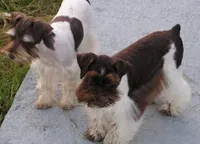 processed/82ced33f-3ec1-4704-9b67-b3b608f1d05b/facility/003e9e66-a9c4-4d1b-868a-50a4f21e627b