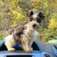 processed/82ced33f-3ec1-4704-9b67-b3b608f1d05b/facility/23cc2d08-9eaf-4875-97d7-ed659a891301