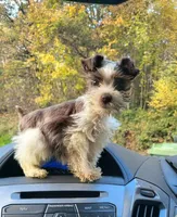 processed/82ced33f-3ec1-4704-9b67-b3b608f1d05b/facility/23cc2d08-9eaf-4875-97d7-ed659a891301