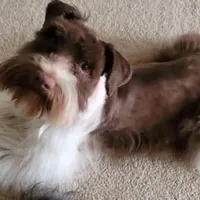 processed/82ced33f-3ec1-4704-9b67-b3b608f1d05b/facility/2c7bb510-67e5-4acd-ac7f-af9f974de27b