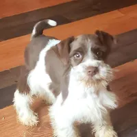 processed/82ced33f-3ec1-4704-9b67-b3b608f1d05b/facility/3ffdc303-5f09-4422-af90-2112bb80283d