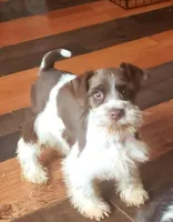 processed/82ced33f-3ec1-4704-9b67-b3b608f1d05b/facility/3ffdc303-5f09-4422-af90-2112bb80283d