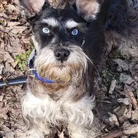 processed/82ced33f-3ec1-4704-9b67-b3b608f1d05b/facility/5a96128b-cf57-4ccb-adf8-1c4ac429d5c8