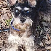 processed/82ced33f-3ec1-4704-9b67-b3b608f1d05b/facility/5a96128b-cf57-4ccb-adf8-1c4ac429d5c8