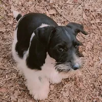 processed/82ced33f-3ec1-4704-9b67-b3b608f1d05b/facility/5e41131a-f675-44ee-8bc7-d9dae61bb507