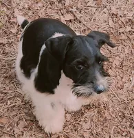 processed/82ced33f-3ec1-4704-9b67-b3b608f1d05b/facility/5e41131a-f675-44ee-8bc7-d9dae61bb507