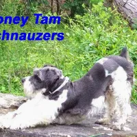 processed/82ced33f-3ec1-4704-9b67-b3b608f1d05b/facility/877d0b6f-a3ca-4634-8158-5a585ac07109